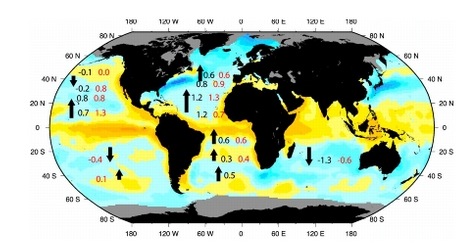 Oceanic surface heat fluxes with inferred heat transports indicated with arrows