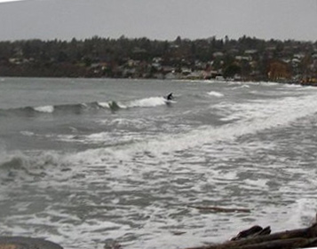 Surfing in Cadboro Bay (http://www.surfingvancouverisland.com/surf/photo01.htm)