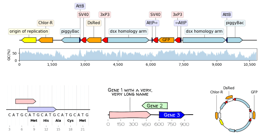 ../_images/dna_features_viewer_screenshot.png